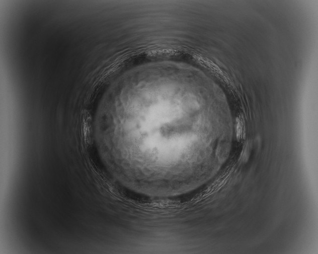 X0000097961059200803241209