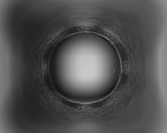 X0000097961061200803241209