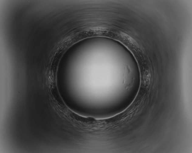 X0000097961062200803241209