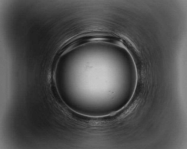 X0000097961065200803241209