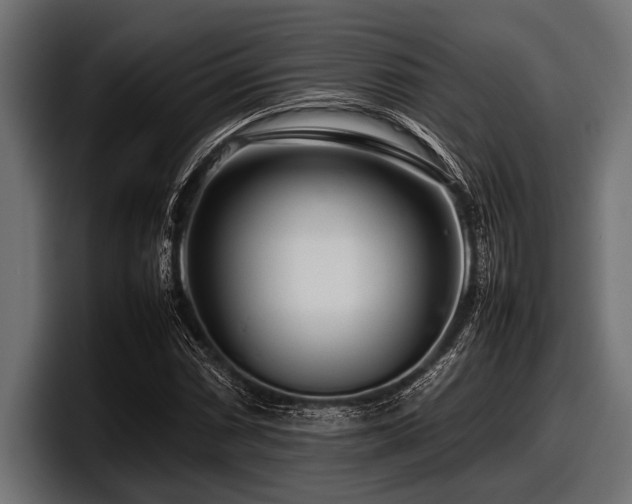 X0000097961066200803241209