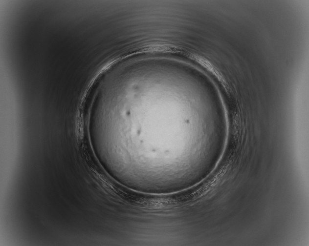 X0000097961067200803241209
