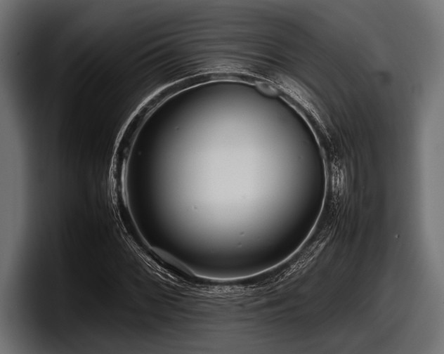 X0000097961068200803241209