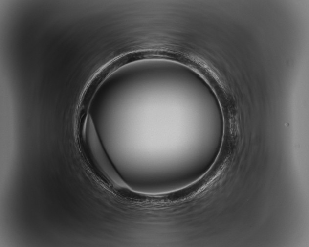 X0000097961069200803241209