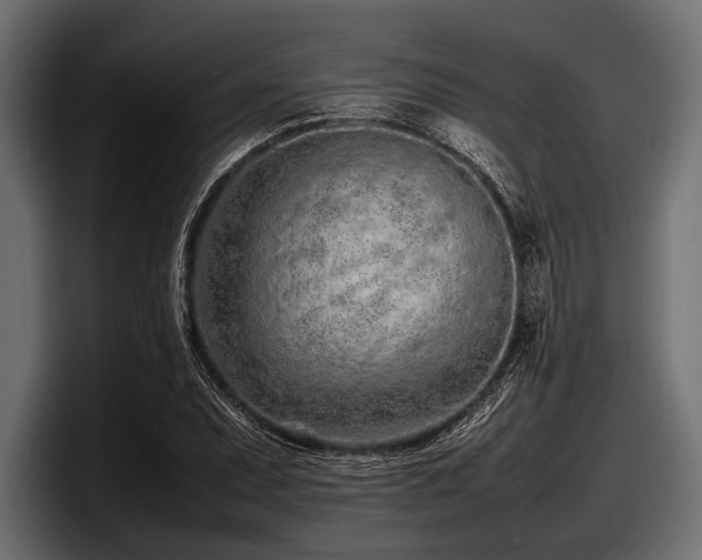 X0000097961071200803241209