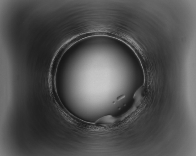 X0000097961072200803241209