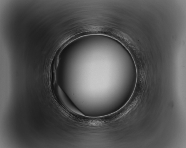 X0000097961073200803241209