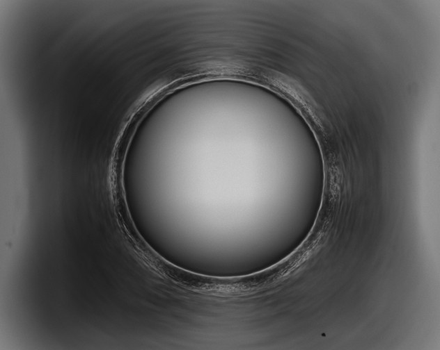 X0000097961074200803241209