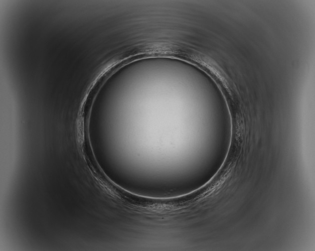 X0000097961075200803241209