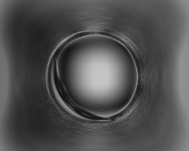 X0000097961077200803241209