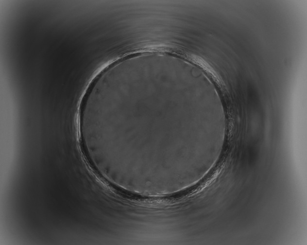 X0000097961079200803241209