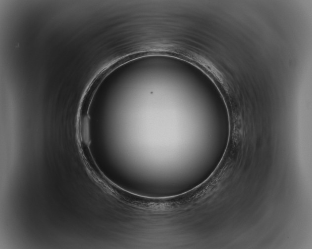 X0000097961080200803241209