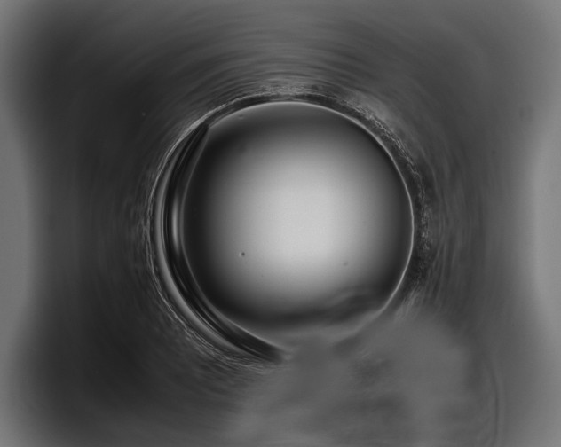 X0000097961081200803241209