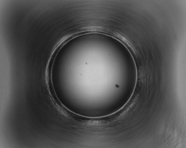 X0000097961082200803241209