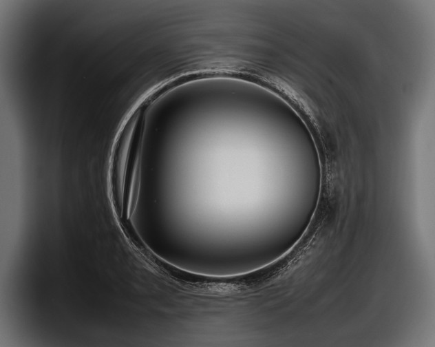 X0000097961085200803241209