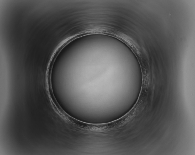 X0000097961086200803241209