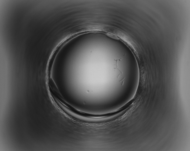 X0000097961088200803241209