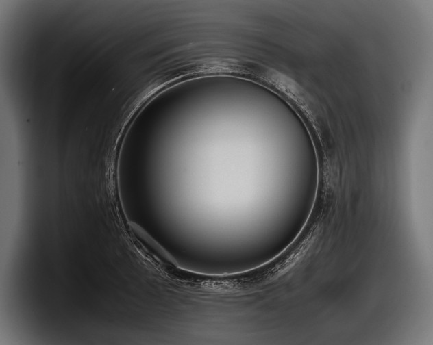 X0000097961089200803241209