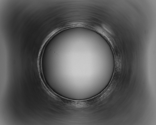 X0000097961090200803241209