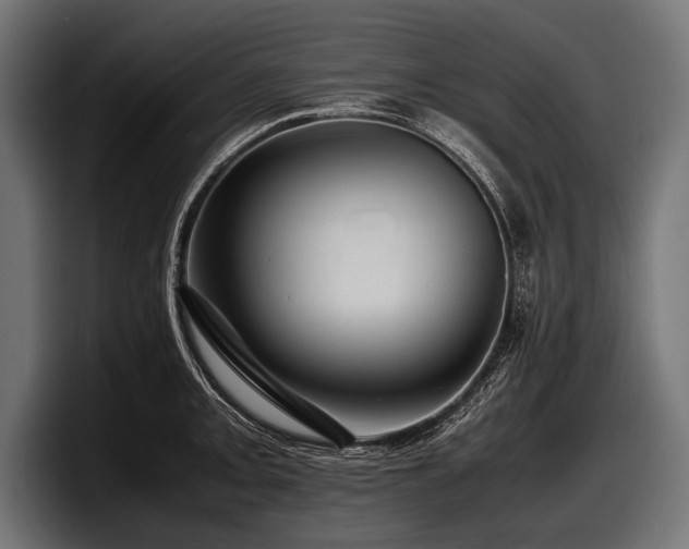 X0000097961093200803241209