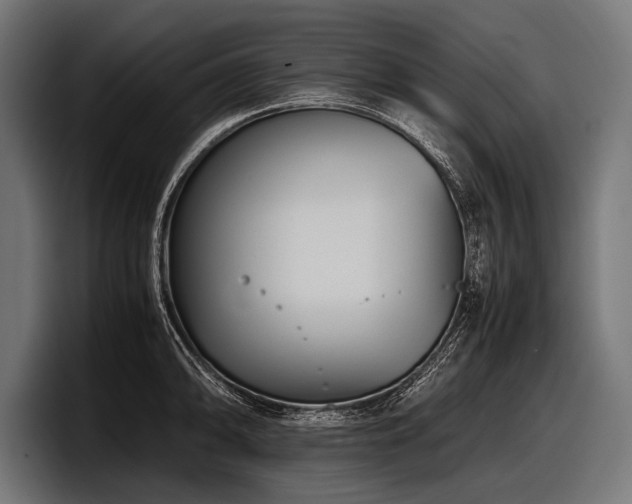 X0000097961094200803241209