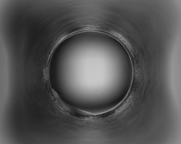 X0000097961097200803241209
