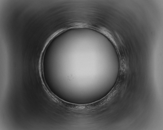 X0000097961098200803241209