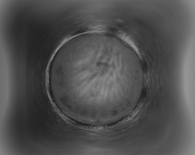 X0000097961099200803241209