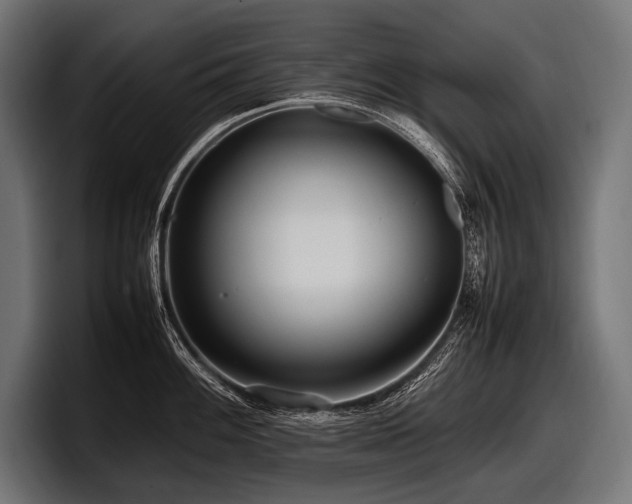X0000097961100200803241209