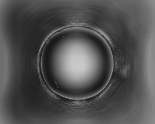 X0000097961102200803241209