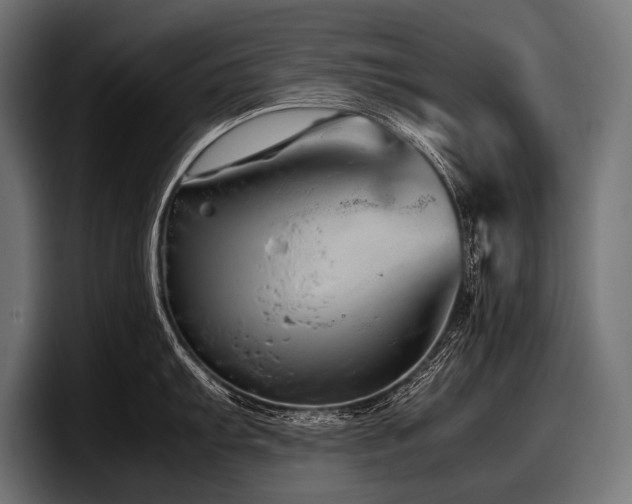 X0000097961103200803241209
