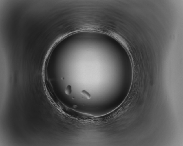 X0000097961104200803241209