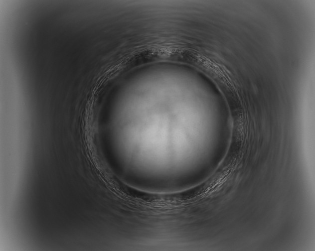 X0000097961105200803241208