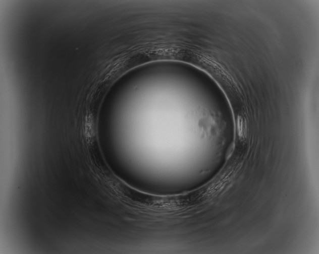 X0000097961107200803241208