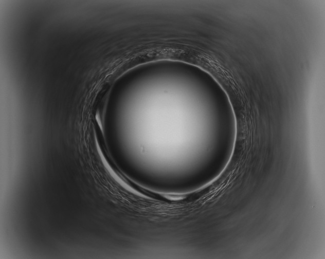 X0000097961109200803241208