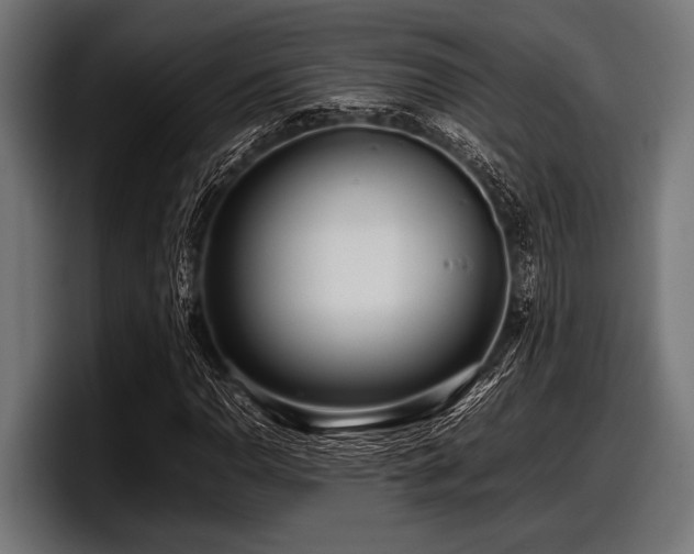 X0000097961110200803241208