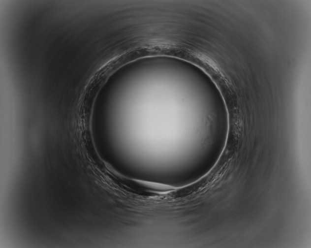 X0000097961112200803241208