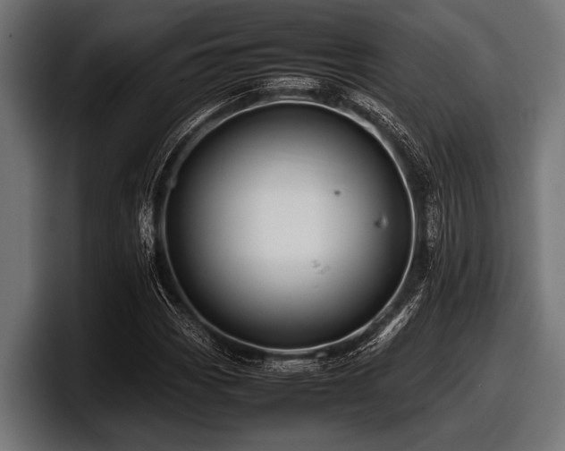X0000097961113200803241208