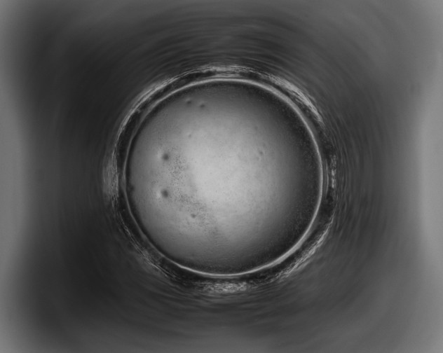 X0000097961117200803241208