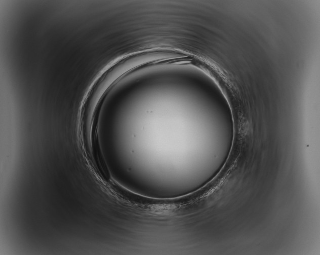 X0000097961118200803241208