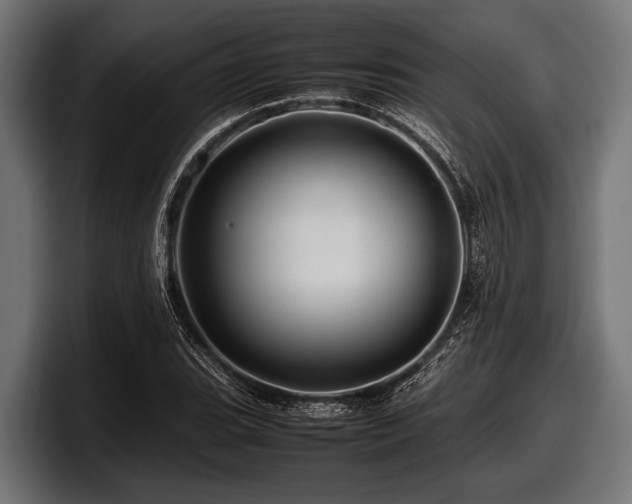 X0000097961119200803241208