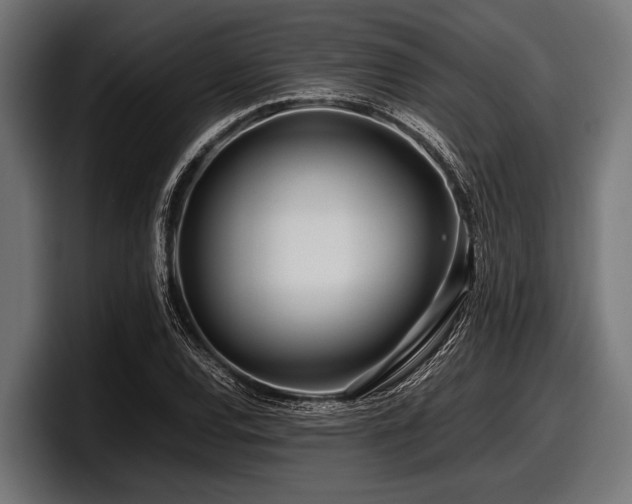 X0000097961120200803241208