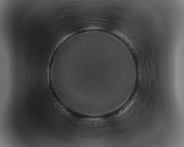 X0000097961121200803241208