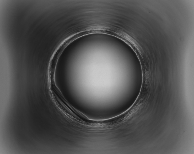 X0000097961124200803241208