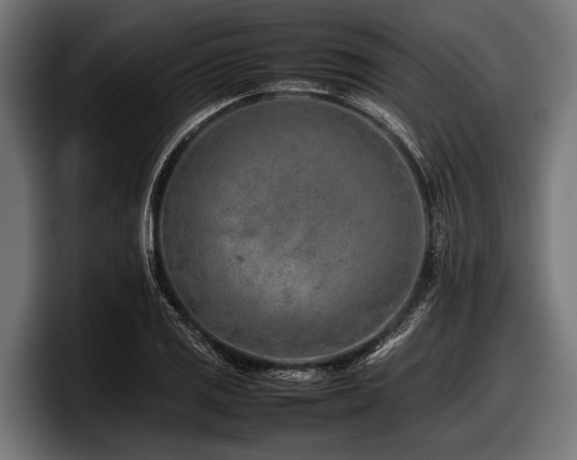 X0000097961125200803241208