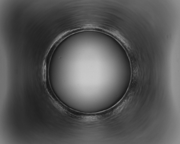 X0000097961126200803241208