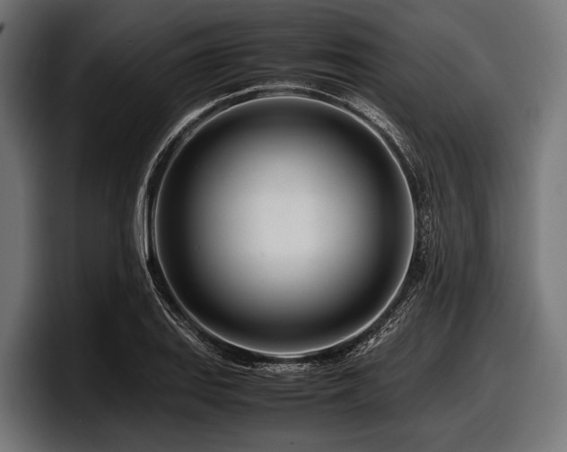X0000097961127200803241208