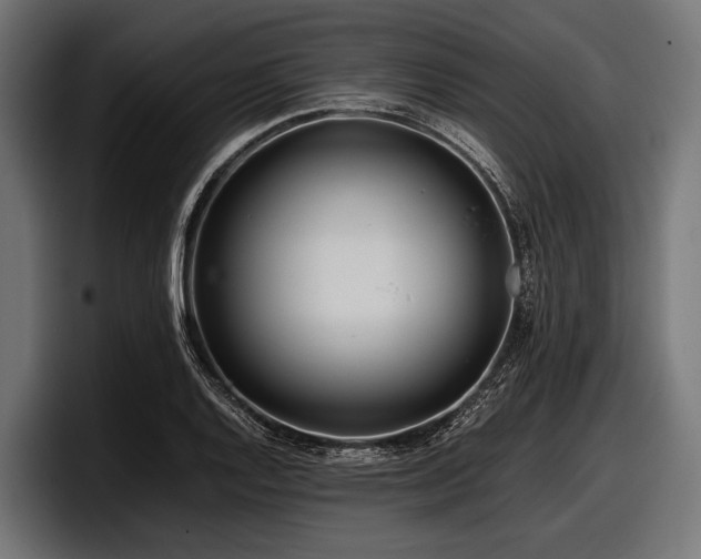 X0000097961128200803241208