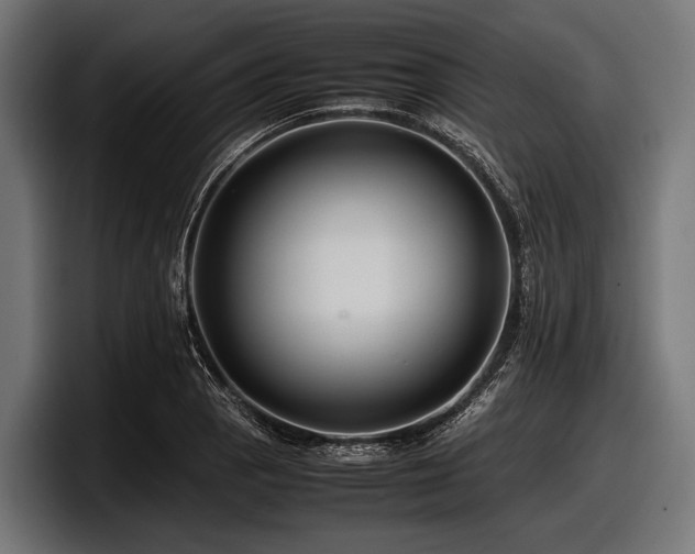 X0000097961129200803241208