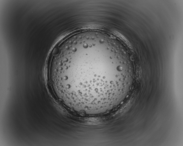 X0000097961130200803241208